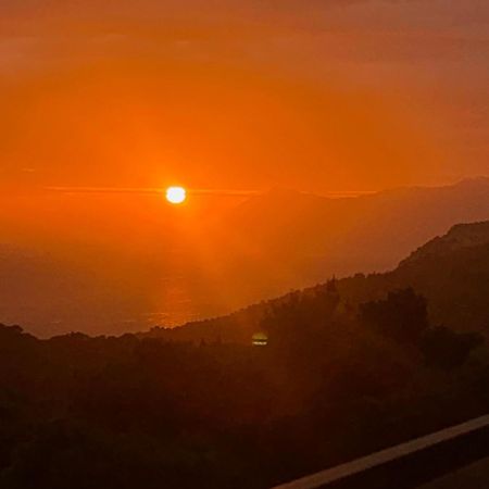Apartment Dalmatino Makarska Bagian luar foto